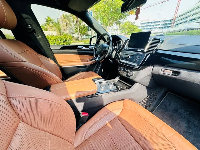 2019 Mercedes-Benz GLS 500 4MATIC thumbnail 9